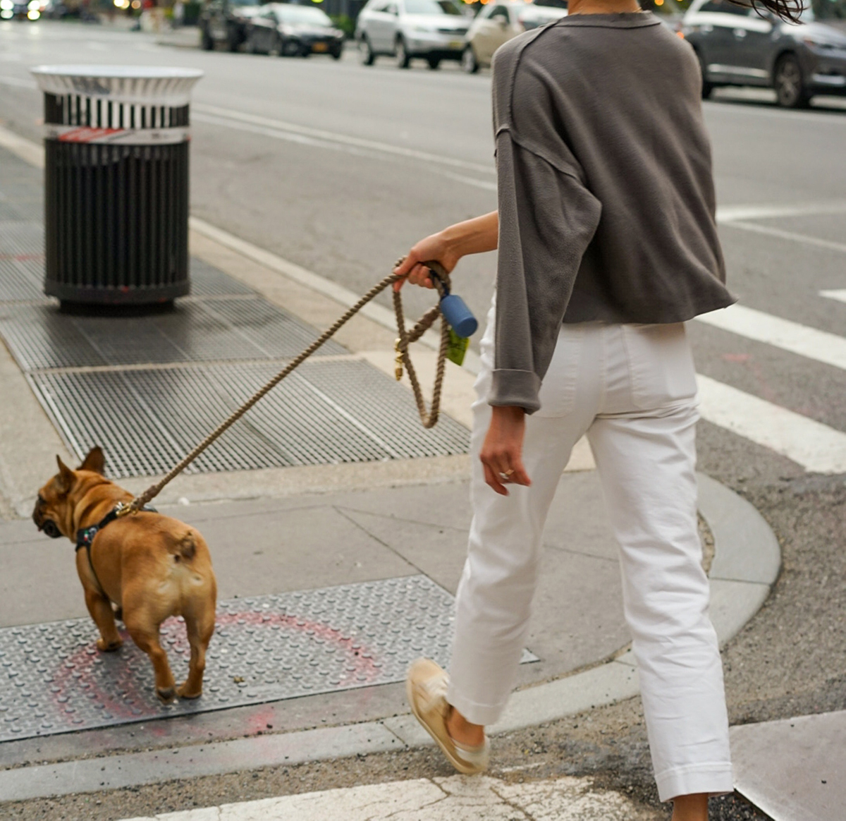 Woman with white pants walking brown dog